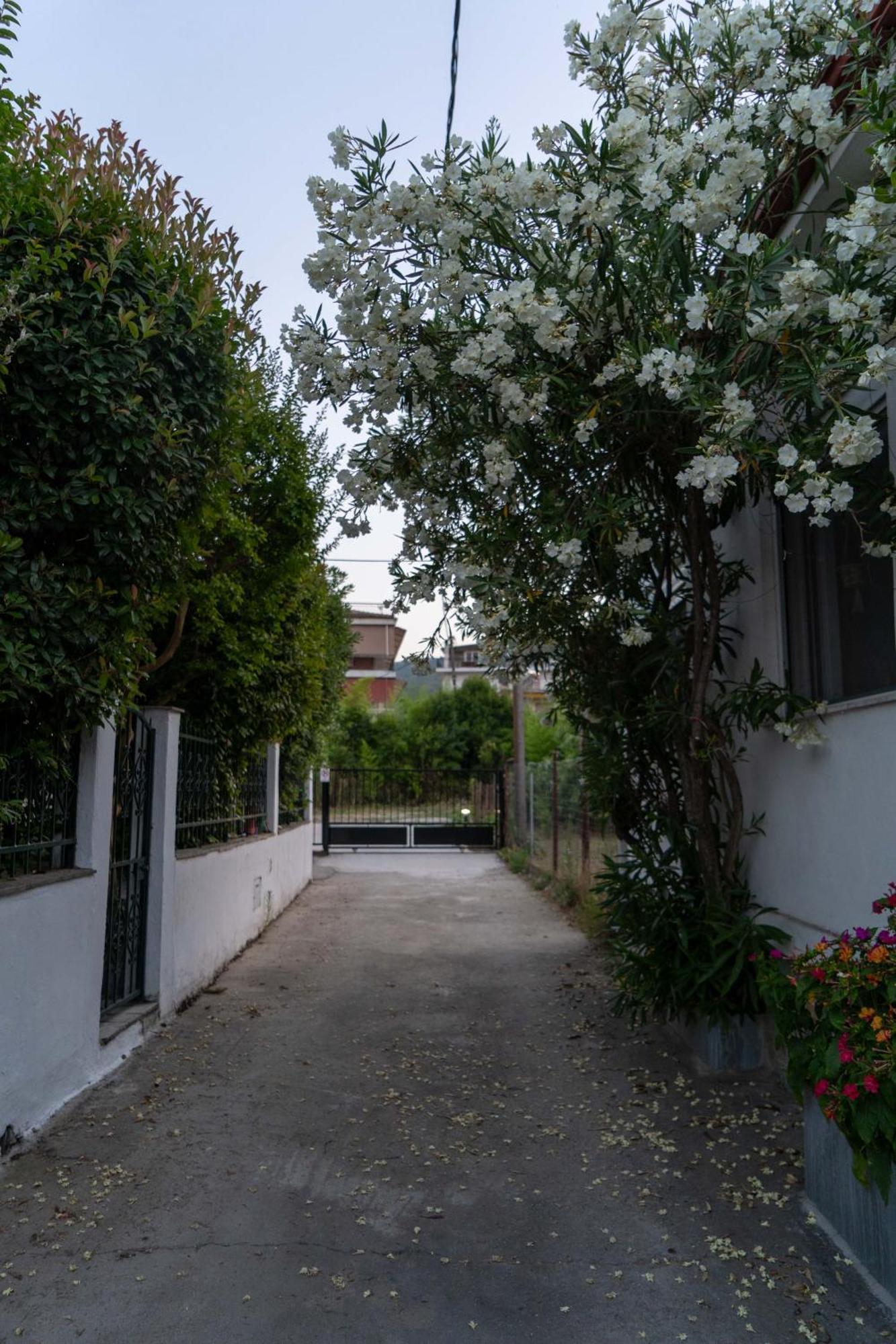 Terrazzo House Villa Platamonas Exterior foto